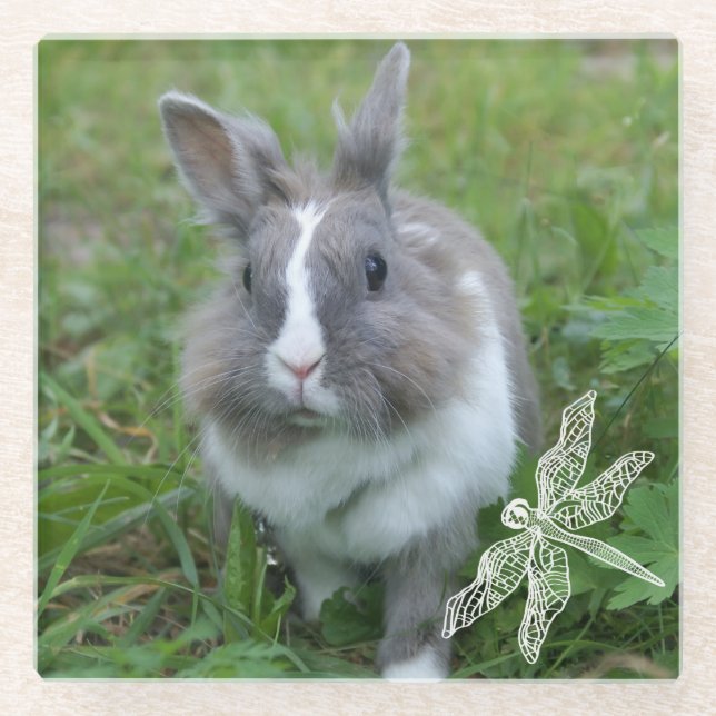 Dessous-de-verre En Verre Lapin lapin (Devant)