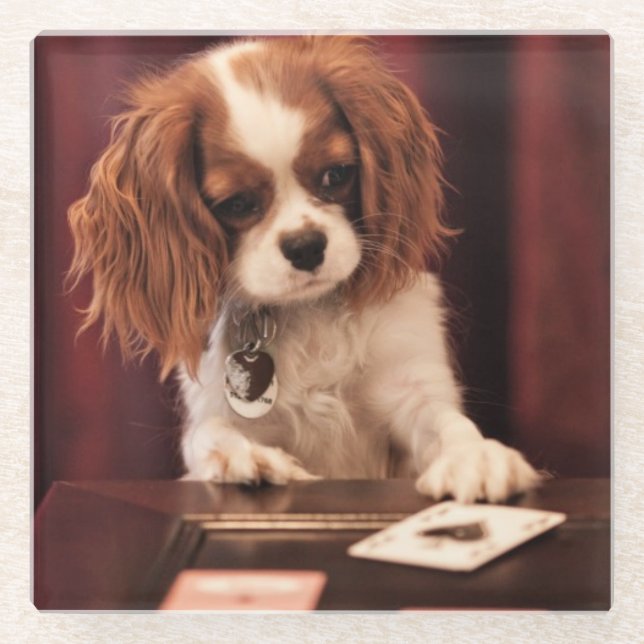 Dessous-de-verre En Verre Le chiot joue aux cartes (Devant)