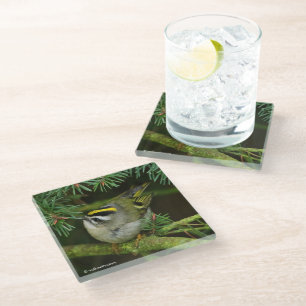 Dessous-de-verre En Verre Le mignon oiseau chanteur Kinglet provoque un remu
