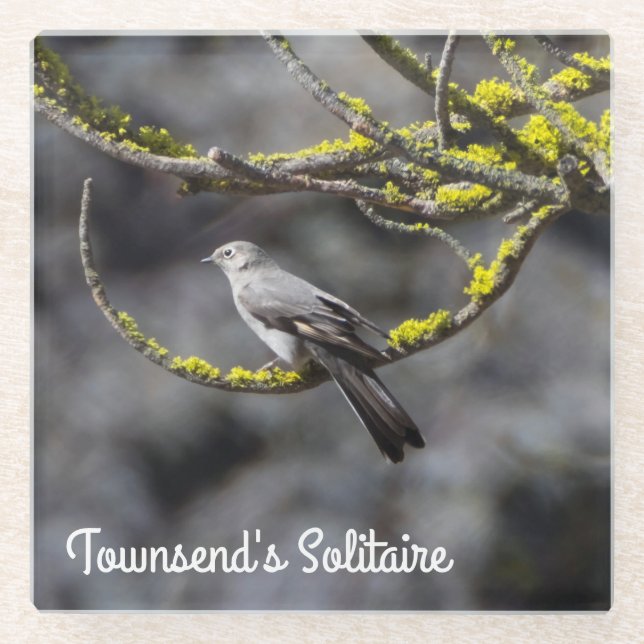 Dessous-de-verre En Verre Le Solitaire de Townsend (Devant)