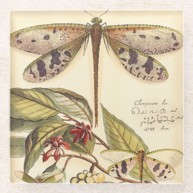 Dessous-de-verre En Verre Les libellules aux Feuilles et aux fruits (Devant)