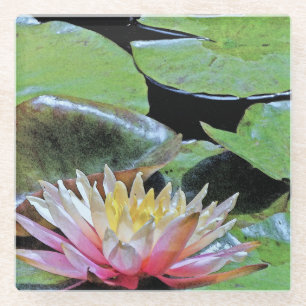 DESSOUS-DE-VERRE EN VERRE LILY ET LILY D'EAU