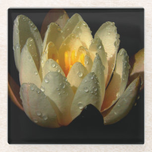 Dessous-de-verre En Verre Lit d'eau avec gouttes de ragoût