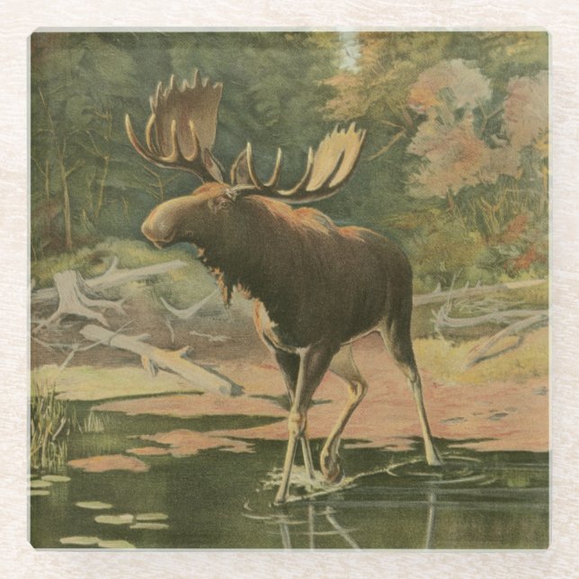 Dessous-de-verre En Verre L'orignal marche dans l'eau (Devant)