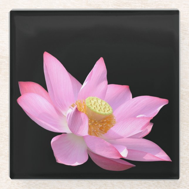 Dessous-de-verre En Verre Lotus (Devant)