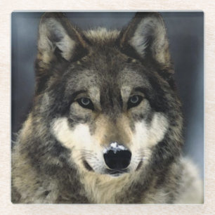 Dessous-de-verre En Verre Loup