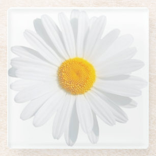 Dessous-de-verre En Verre marguerite blanche
