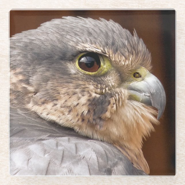 DESSOUS-DE-VERRE EN VERRE MERLIN FALCON OISEAU DE PREY (Devant)