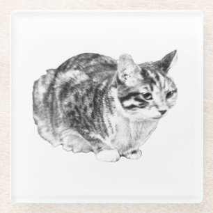 Dessous-de-verre En Verre Minuscule galerie : Tabby sur Cushion