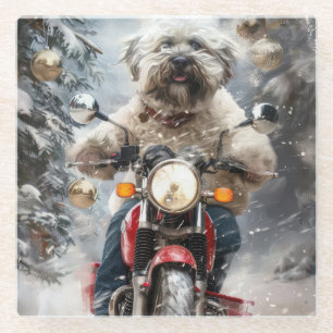 Dessous-de-verre En Verre Moto à chiens Havanais Noël