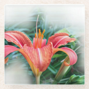 Dessous-de-verre En Verre nénuphar