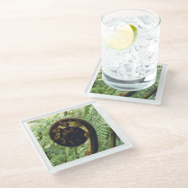 Dessous-de-verre En Verre Nouvelle-Zélande Souvenir Fern Koru Photo (Incliné)