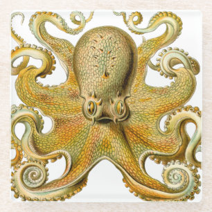 Dessous-de-verre En Verre Octopus illustration antique monstre marin