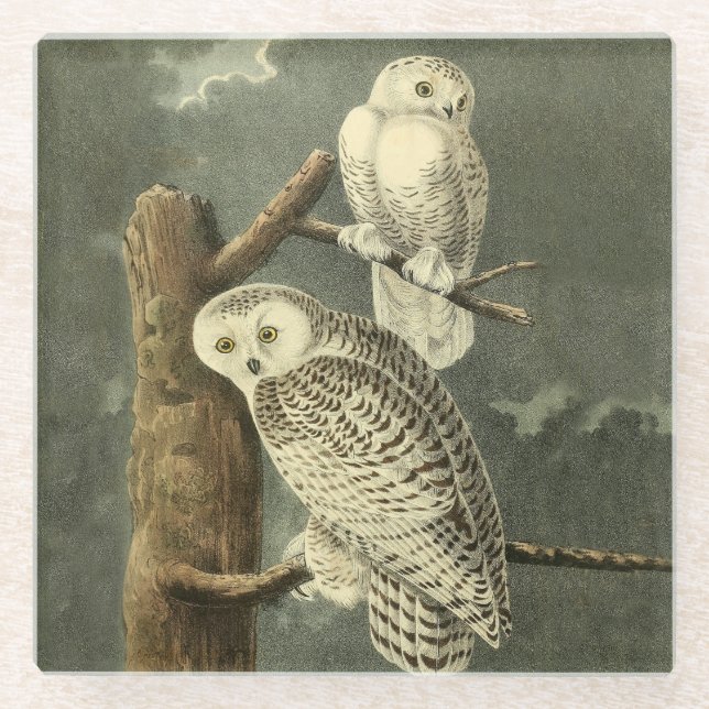 Dessous-de-verre En Verre OEuvre d'OEuf Audubon (Devant)