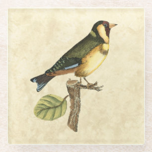 Dessous-de-verre En Verre Oiseau jaune et vert été perché sur une petite