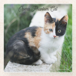 Dessous-de-verre En Verre Opera Phantom Chat