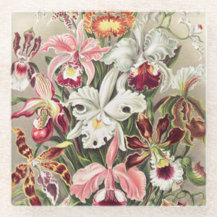 Dessous-de-verre En Verre Orchidées, Orchidée Denusblumen par Ernst Haeckel