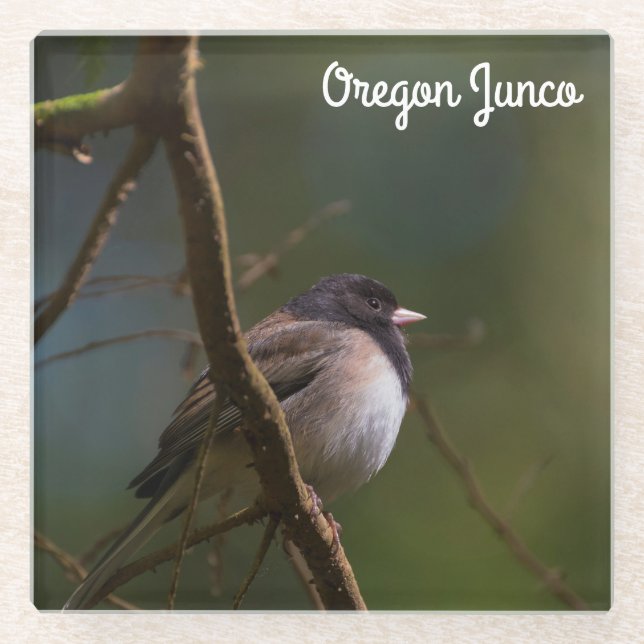 Dessous-de-verre En Verre Oregon Junco (Devant)