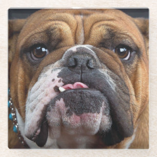 Dessous-de-verre En Verre Oreillers à lancer de Bulldog anglais