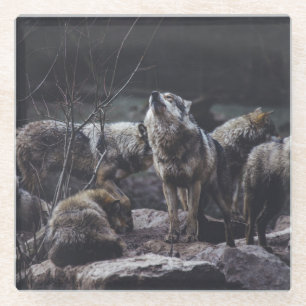 Dessous-de-verre En Verre Pack Wolf