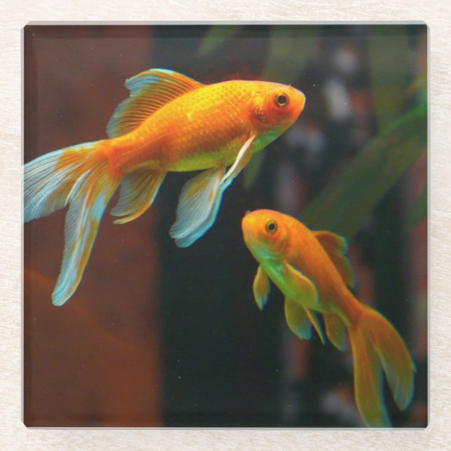 Dessous-de-verre En Verre Paires du poisson rouge chanceux (Devant)