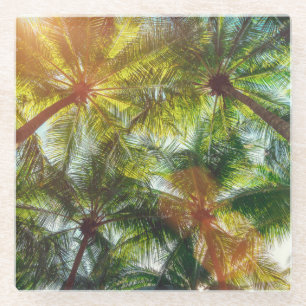 Dessous-de-verre En Verre Palmiers de noix de coco sur la plage