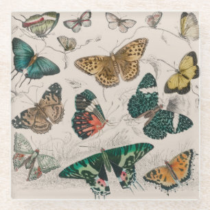 Dessous-de-verre En Verre Papillons Collection Antique Papillons