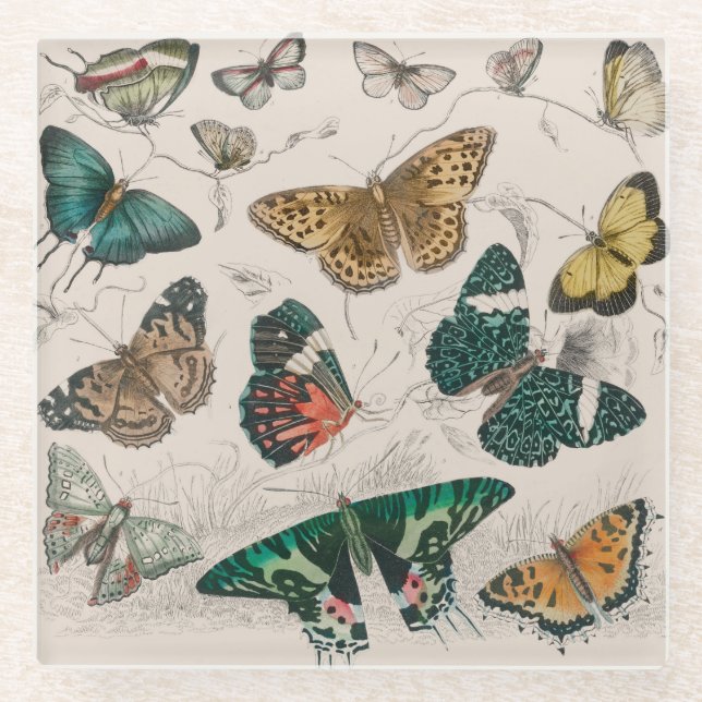 Dessous-de-verre En Verre Papillons Collection Antique Papillons (Devant)