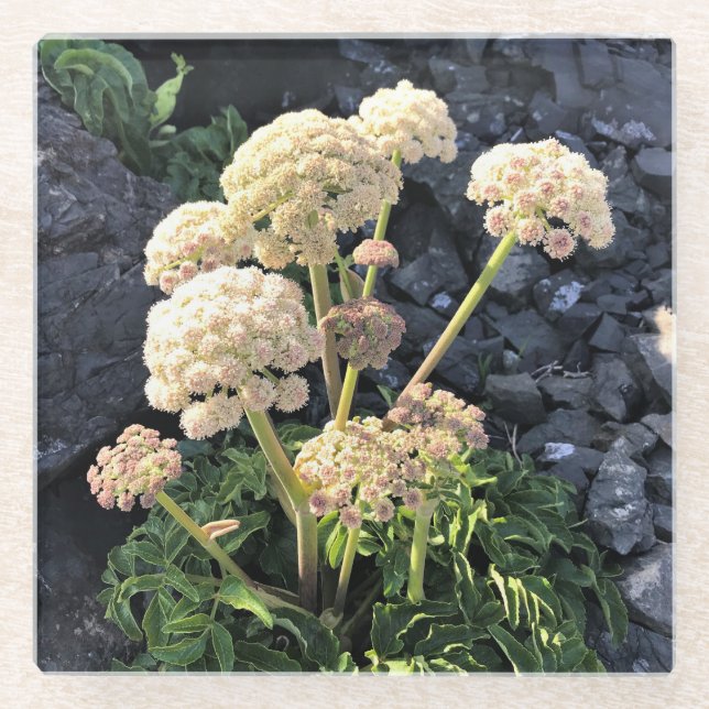 Dessous-de-verre En Verre Parc Rock State de Sisters (Devant)