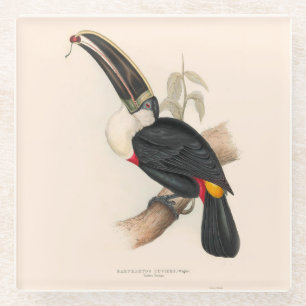 Dessous-de-verre En Verre Peinture animalière d'antiquités Toucans