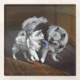 Dessous-de-verre En Verre Peinture de jeu de Keeshond - Joli art original de
