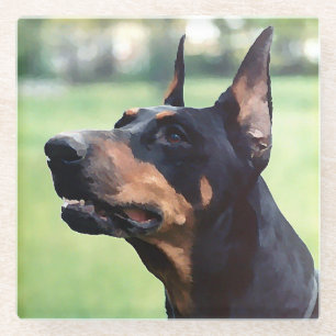 Dessous-de-verre En Verre Peinture rêveuse de visage de Pinscher de