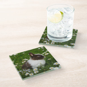 Dessous-de-verre En Verre Petit lapin Brown et blanc en fleurs