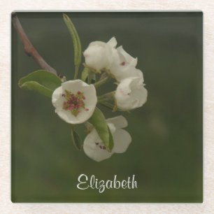 Dessous-de-verre En Verre Photo de fleurs de poires personnalisées
