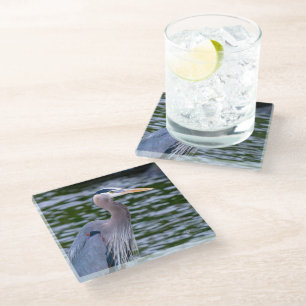 Dessous-de-verre En Verre Photographie d'oiseaux sauvages du Grand Héron ble