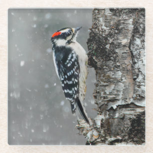 Dessous-de-verre En Verre Pic Downy en neige - Photo originale