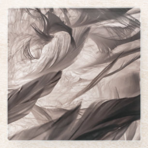 Dessous-de-verre En Verre Plumes