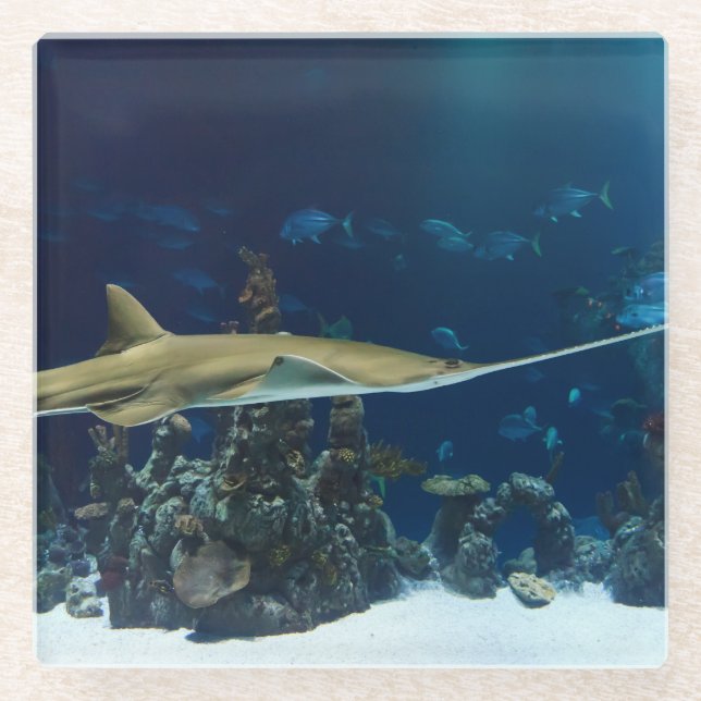 Dessous-de-verre En Verre Poisson-scie (Devant)