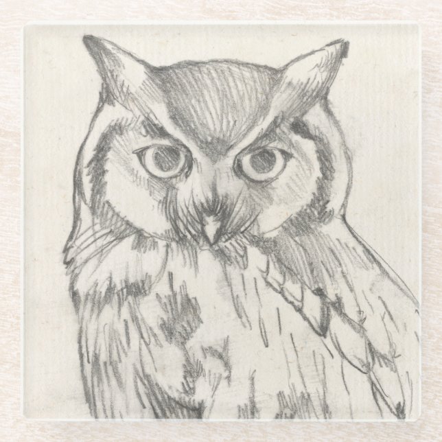 Dessous-de-verre En Verre Portrait de hibou - Croquis (Devant)