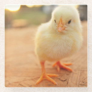 Dessous-de-verre En Verre Poussins de bébé