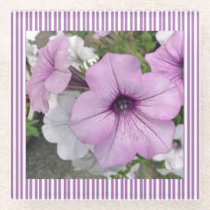 Dessous-de-verre En Verre Purple Petunia Floral Photographie