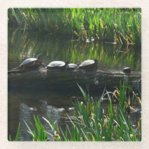 Dessous-de-verre En Verre Rangée de tortues Green Nature Photo