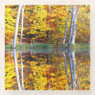 Dessous-de-verre En Verre Réflexion d'automne