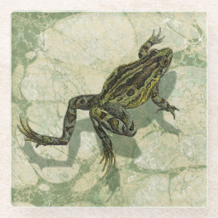 Dessous-de-verre En Verre Remonter le crapaud dans l'eau