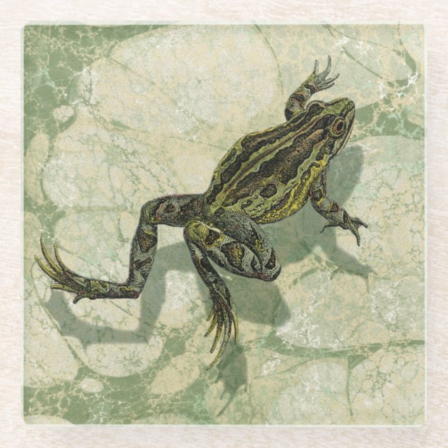 Dessous-de-verre En Verre Remonter le crapaud dans l'eau (Devant)