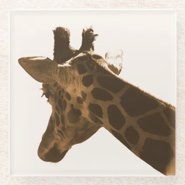 Dessous-de-verre En Verre Reticuler profil Giraffe (Devant)