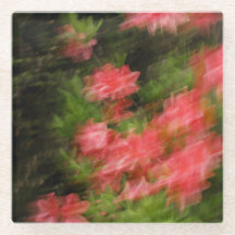 Rhododendrons Corail Abstraits en Mouvement, photo