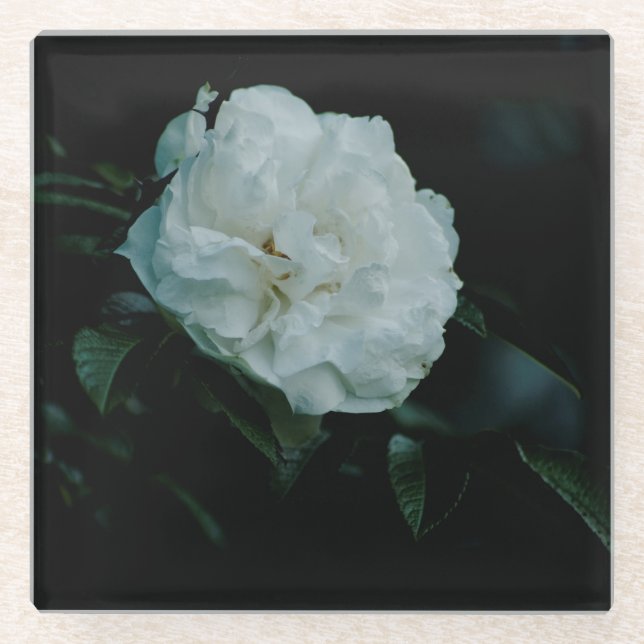 Dessous-de-verre En Verre Rose blanche (Devant)