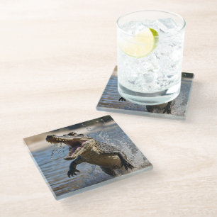 Dessous-de-verre En Verre Scary Jaws : Le Crocodile australien saute aux pie