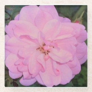 Dessous-de-verre En Verre S'est levé